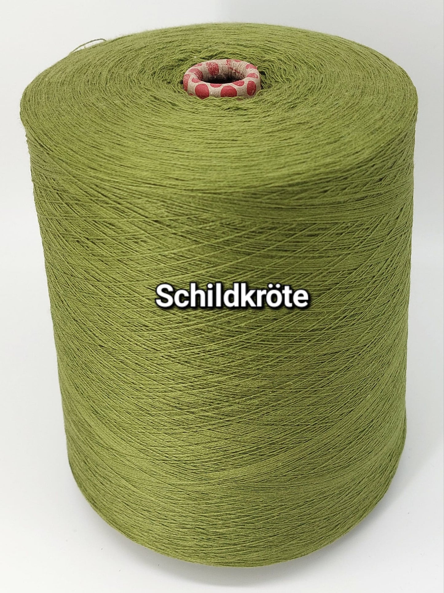 Schildkröte