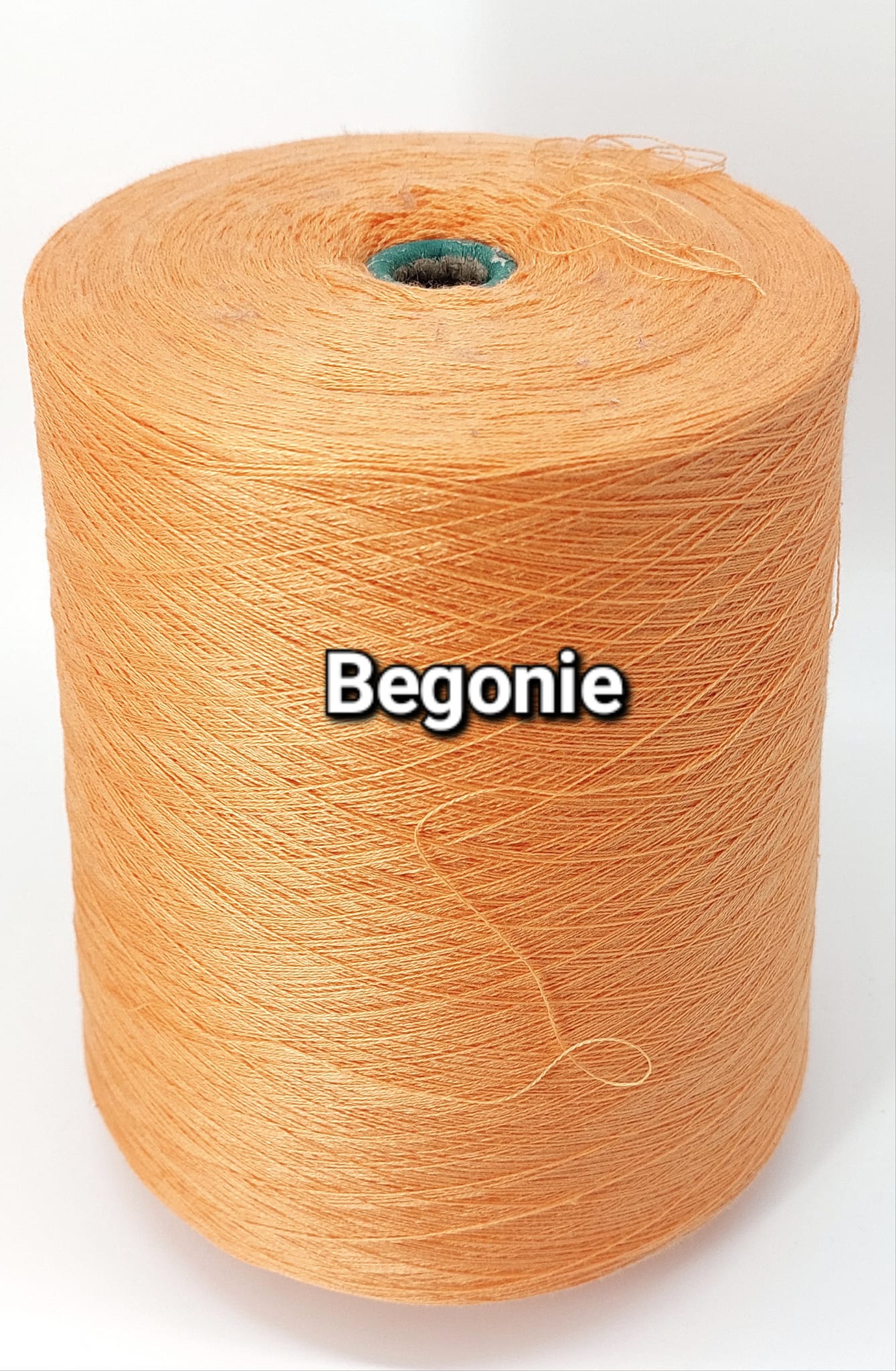 Begonie