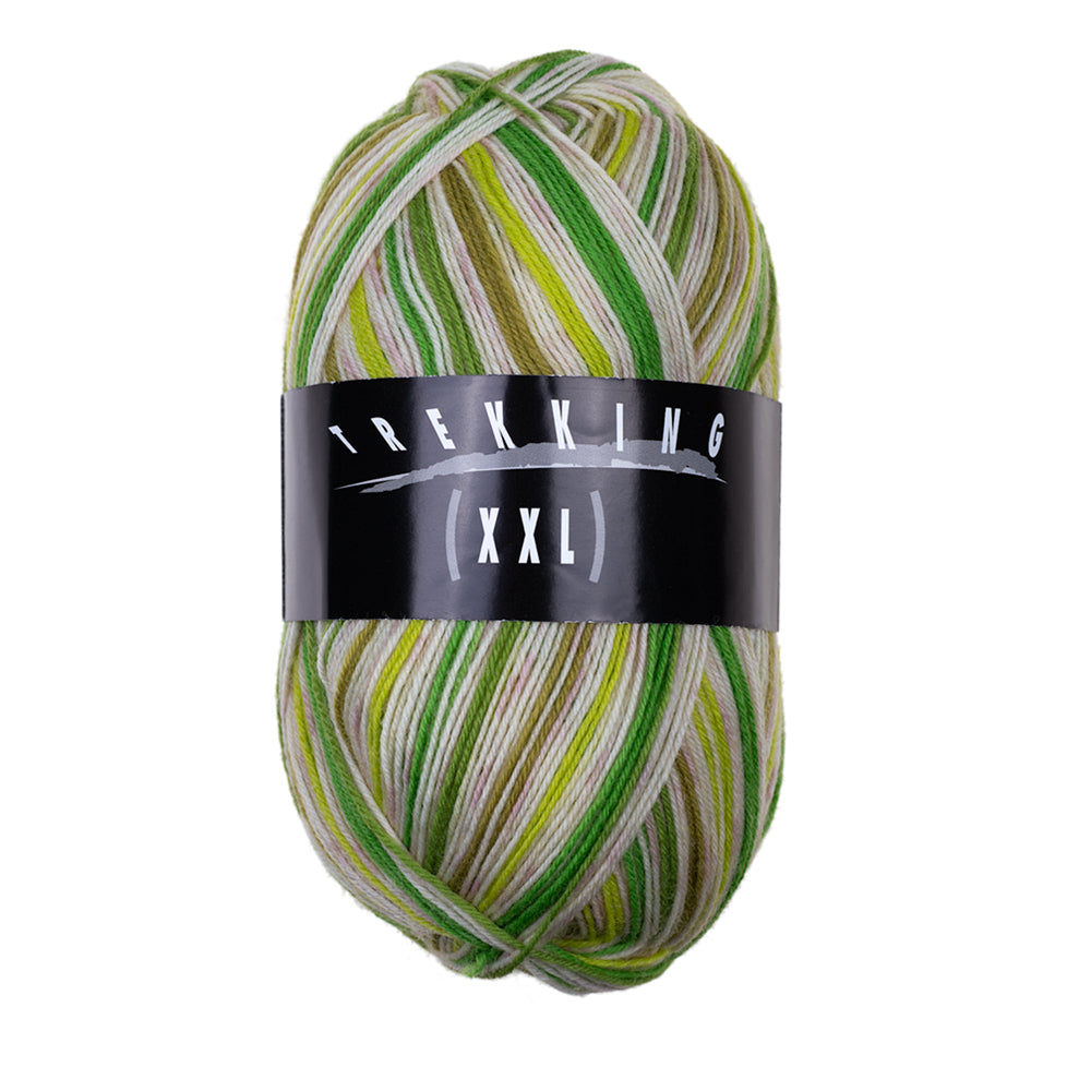 Atelier Zitron Trekking 4-fach Color