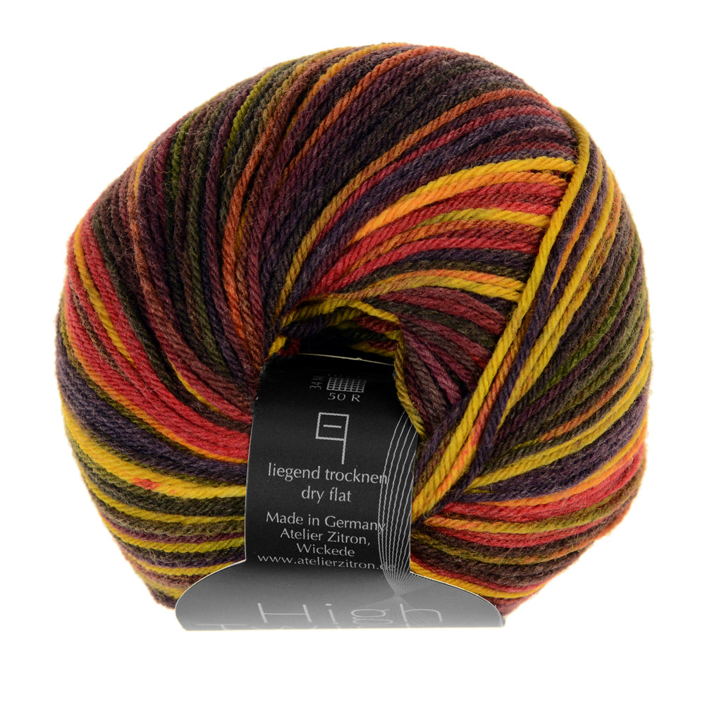 Atelier Zitron High Twist Color