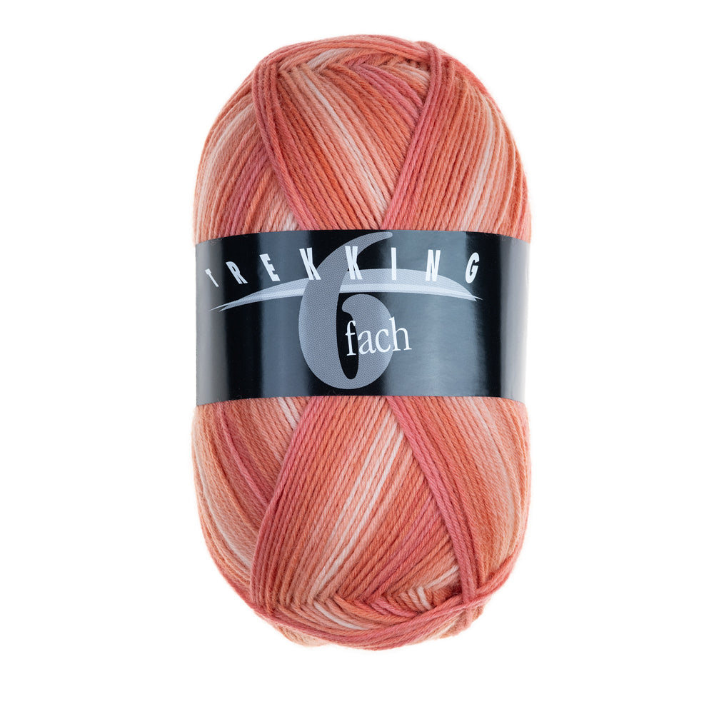 Atelier Zitron Trekking 6-fach Color