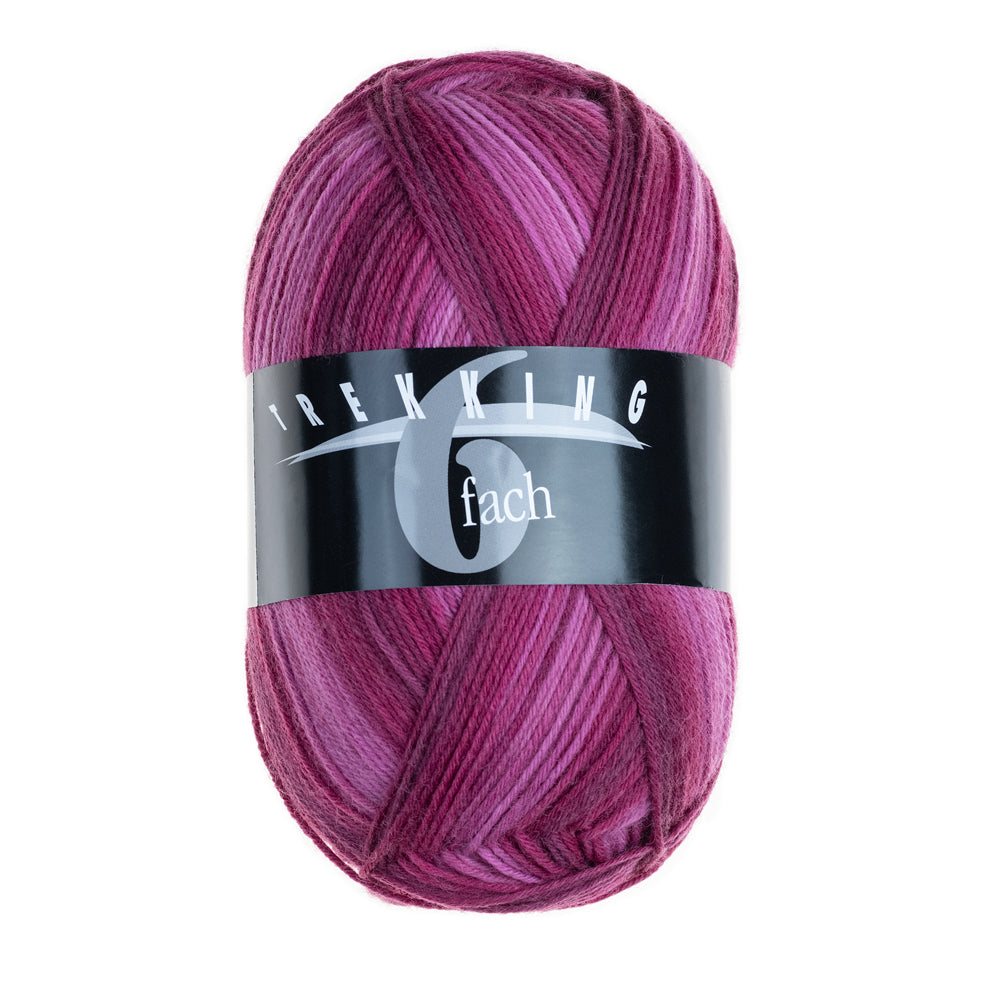 Atelier Zitron Trekking 6-fach Color