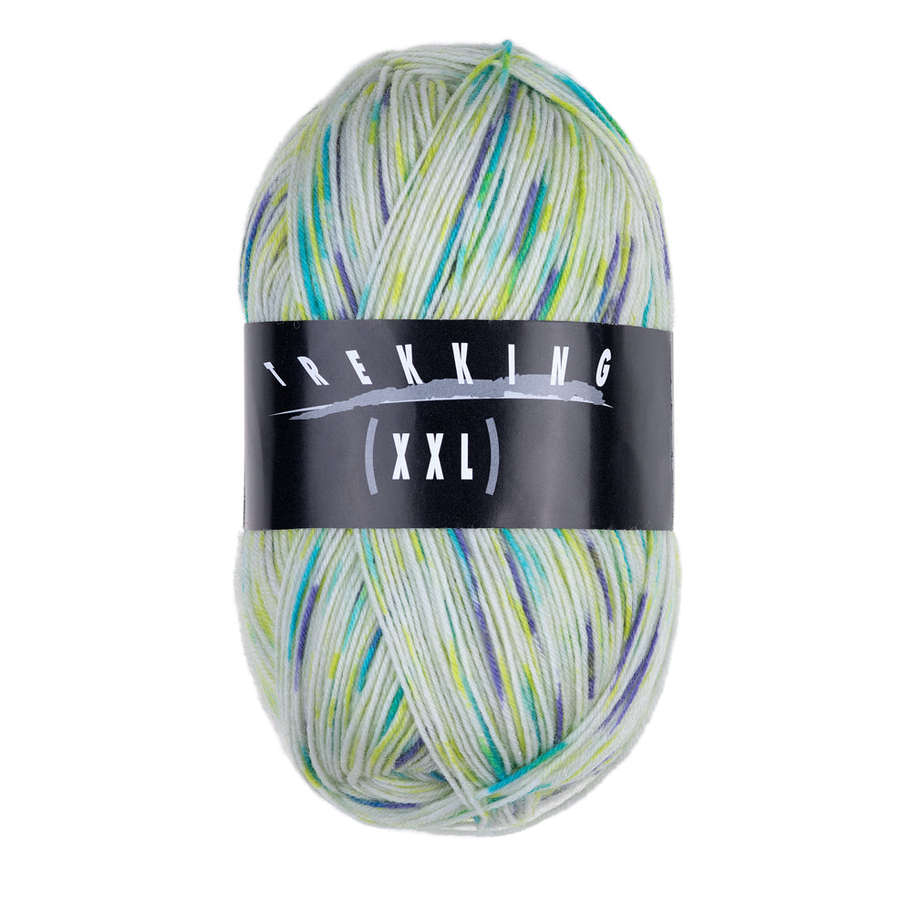 Atelier Zitron Trekking 4-fach Color