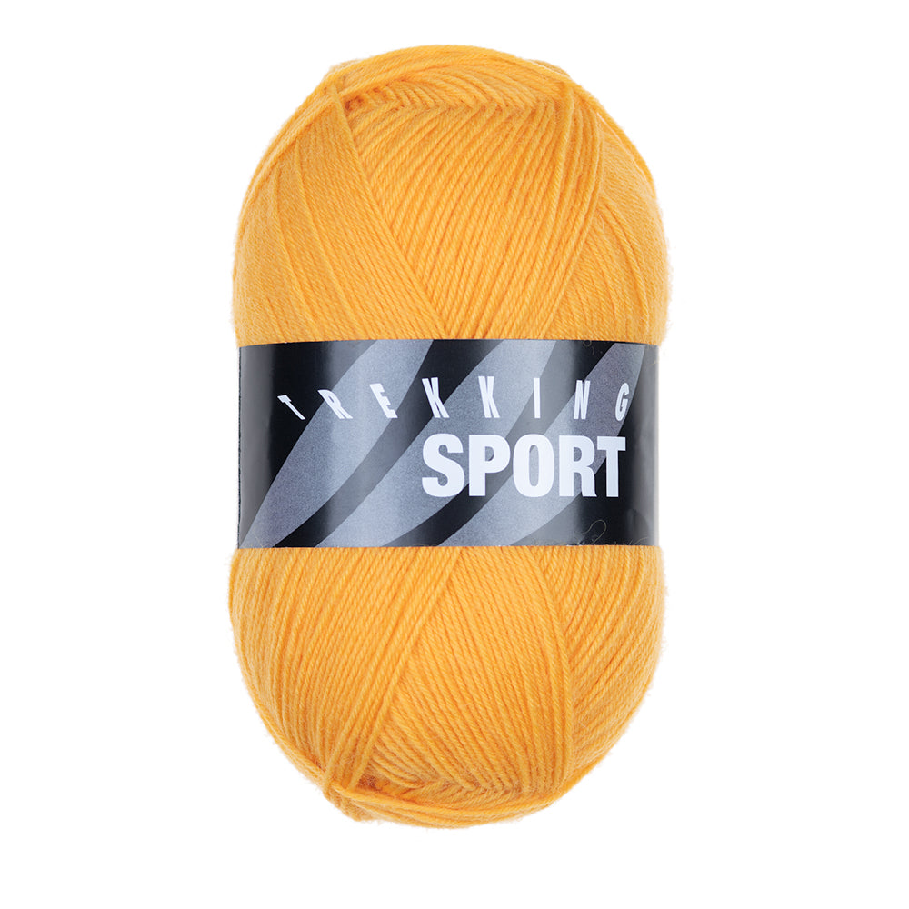 Atelier Zitron Trekking Sport 4-fach